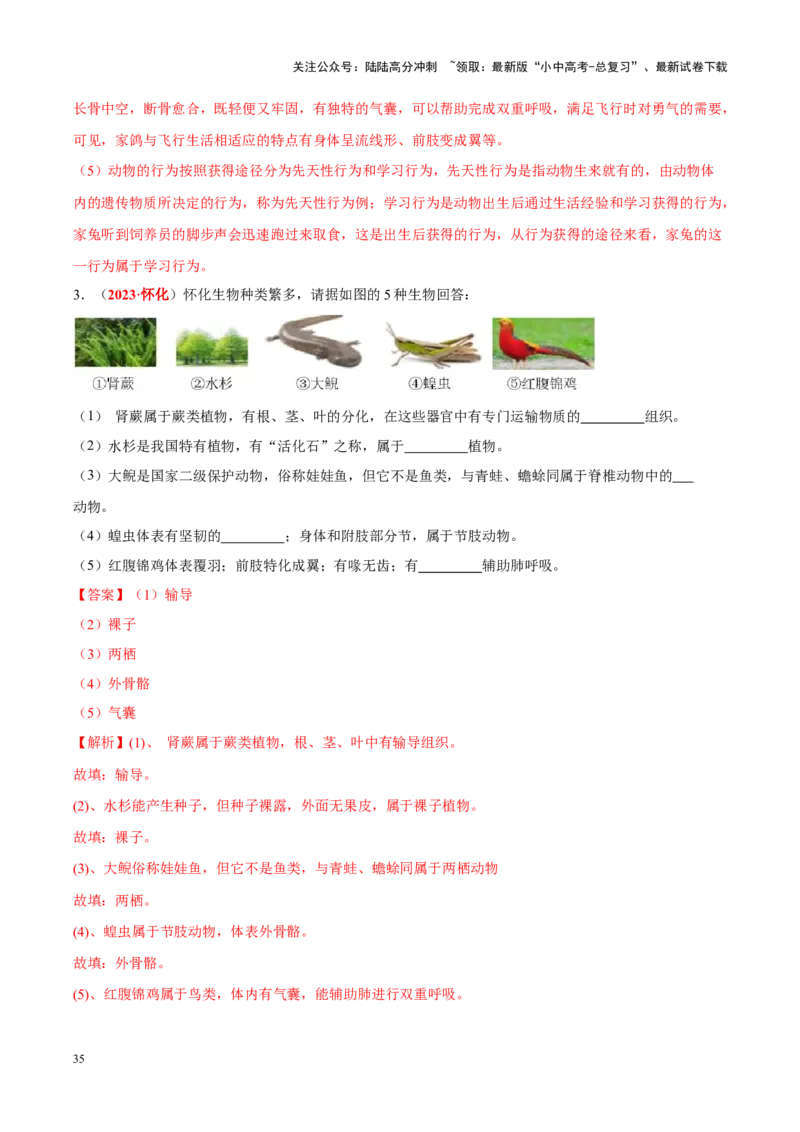专题10&nbsp;植物、动物和微生物类群（解析版）_02中考总复习（2026版更新中）_08-生物-中考总复习_2024年中考复习资料_专项复习_完三年（2021-2023）中考生物真题分项汇编（全国通用）
