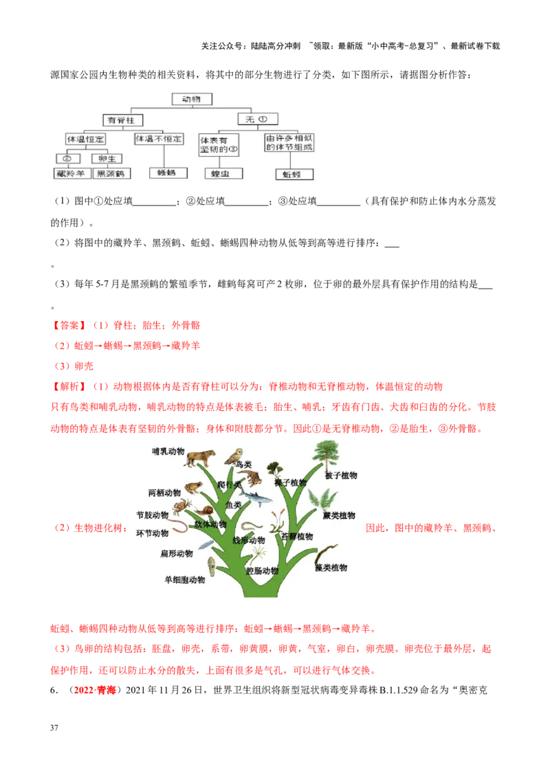 专题10&nbsp;植物、动物和微生物类群（解析版）_02中考总复习（2026版更新中）_08-生物-中考总复习_2024年中考复习资料_专项复习_完三年（2021-2023）中考生物真题分项汇编（全国通用）