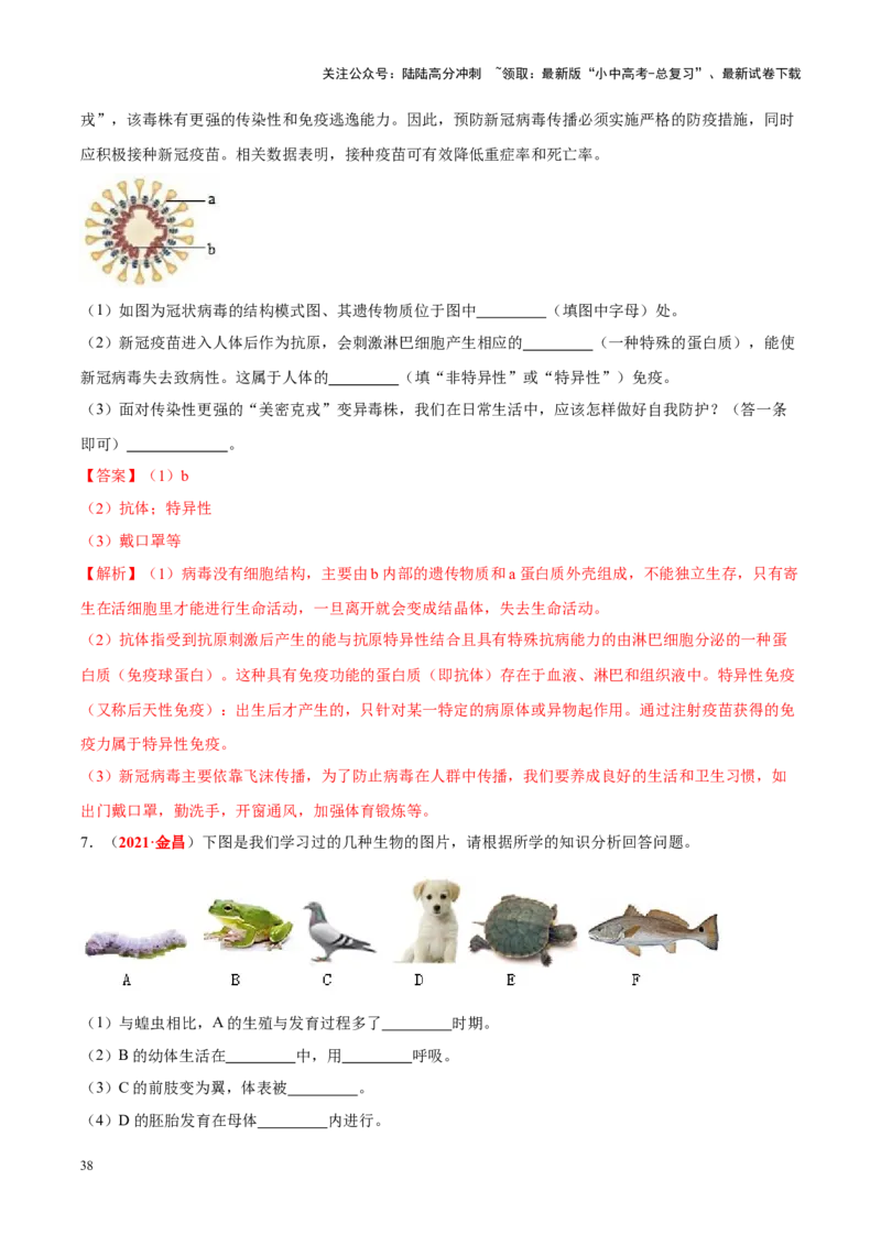 专题10&nbsp;植物、动物和微生物类群（解析版）_02中考总复习（2026版更新中）_08-生物-中考总复习_2024年中考复习资料_专项复习_完三年（2021-2023）中考生物真题分项汇编（全国通用）