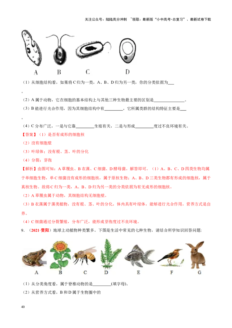 专题10&nbsp;植物、动物和微生物类群（解析版）_02中考总复习（2026版更新中）_08-生物-中考总复习_2024年中考复习资料_专项复习_完三年（2021-2023）中考生物真题分项汇编（全国通用）