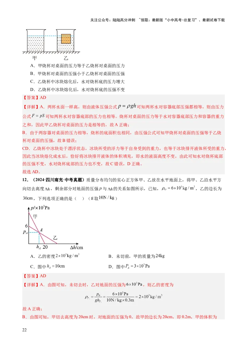 专题12多项选择题（讲练）（解析版）_02中考总复习（2026版更新中）_04-物理-中考总复习_2025年中考复习资料_2025中考二轮课件ppt+讲义+练习物理_讲义+练习