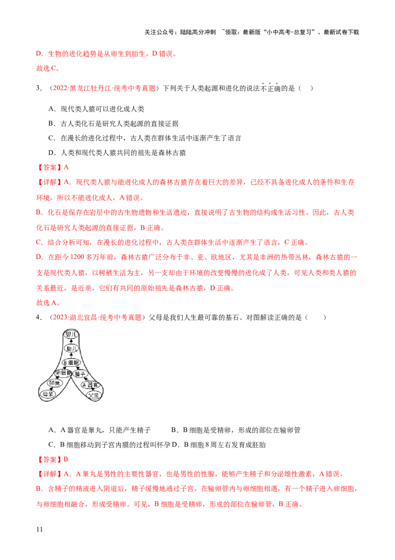 专题09人的由来（解析版）_02中考总复习（2026版更新中）_08-生物-中考总复习_2024年中考复习资料_一轮复习_❤备战2024年中考生物一轮复习考点帮（全国通用）_练习