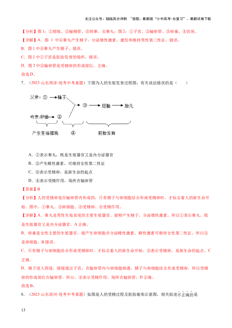 专题09人的由来（解析版）_02中考总复习（2026版更新中）_08-生物-中考总复习_2024年中考复习资料_一轮复习_❤备战2024年中考生物一轮复习考点帮（全国通用）_练习