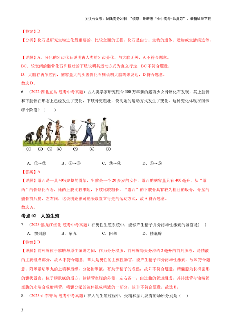 专题09人的由来（解析版）_02中考总复习（2026版更新中）_08-生物-中考总复习_2024年中考复习资料_一轮复习_❤备战2024年中考生物一轮复习考点帮（全国通用）_练习