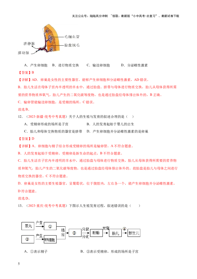 专题09人的由来（解析版）_02中考总复习（2026版更新中）_08-生物-中考总复习_2024年中考复习资料_一轮复习_❤备战2024年中考生物一轮复习考点帮（全国通用）_练习