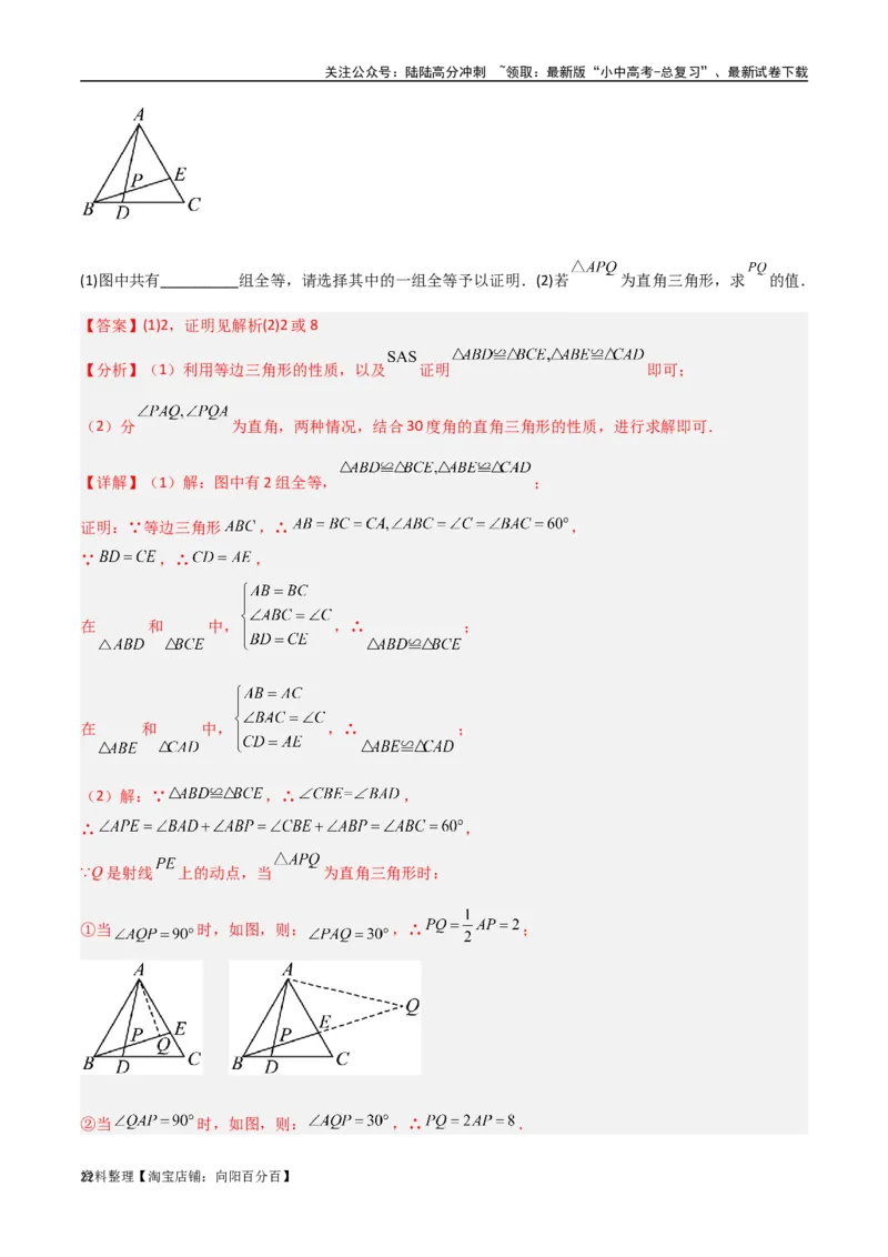 专题11三角形中的重要模型-特殊三角形中的分类讨论模型（解析版）_02中考总复习（2026版更新中）_02-数学-中考总复习_2024年中考复习资料_专项复习资料_答案解析版