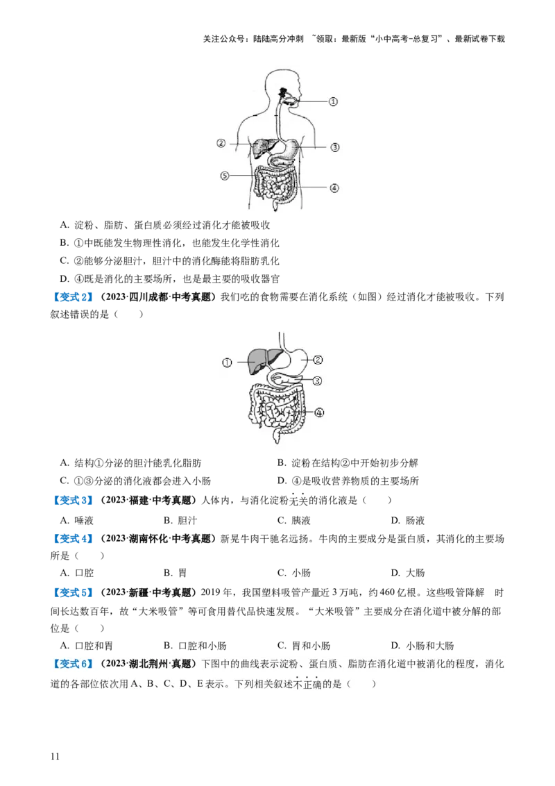 专题10人体的营养（讲义）（原卷版）_02中考总复习（2026版更新中）_08-生物-中考总复习_2024年中考复习资料_一轮复习_❤2024年中考生物一轮复习讲练测（全国通用）_讲义