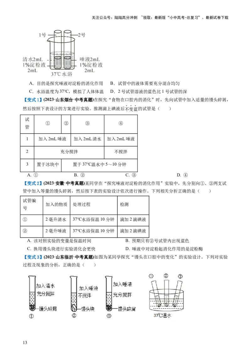 专题10人体的营养（讲义）（原卷版）_02中考总复习（2026版更新中）_08-生物-中考总复习_2024年中考复习资料_一轮复习_❤2024年中考生物一轮复习讲练测（全国通用）_讲义