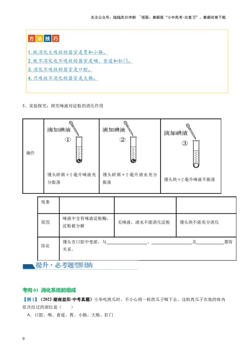 专题10人体的营养（讲义）（原卷版）_02中考总复习（2026版更新中）_08-生物-中考总复习_2024年中考复习资料_一轮复习_❤2024年中考生物一轮复习讲练测（全国通用）_讲义