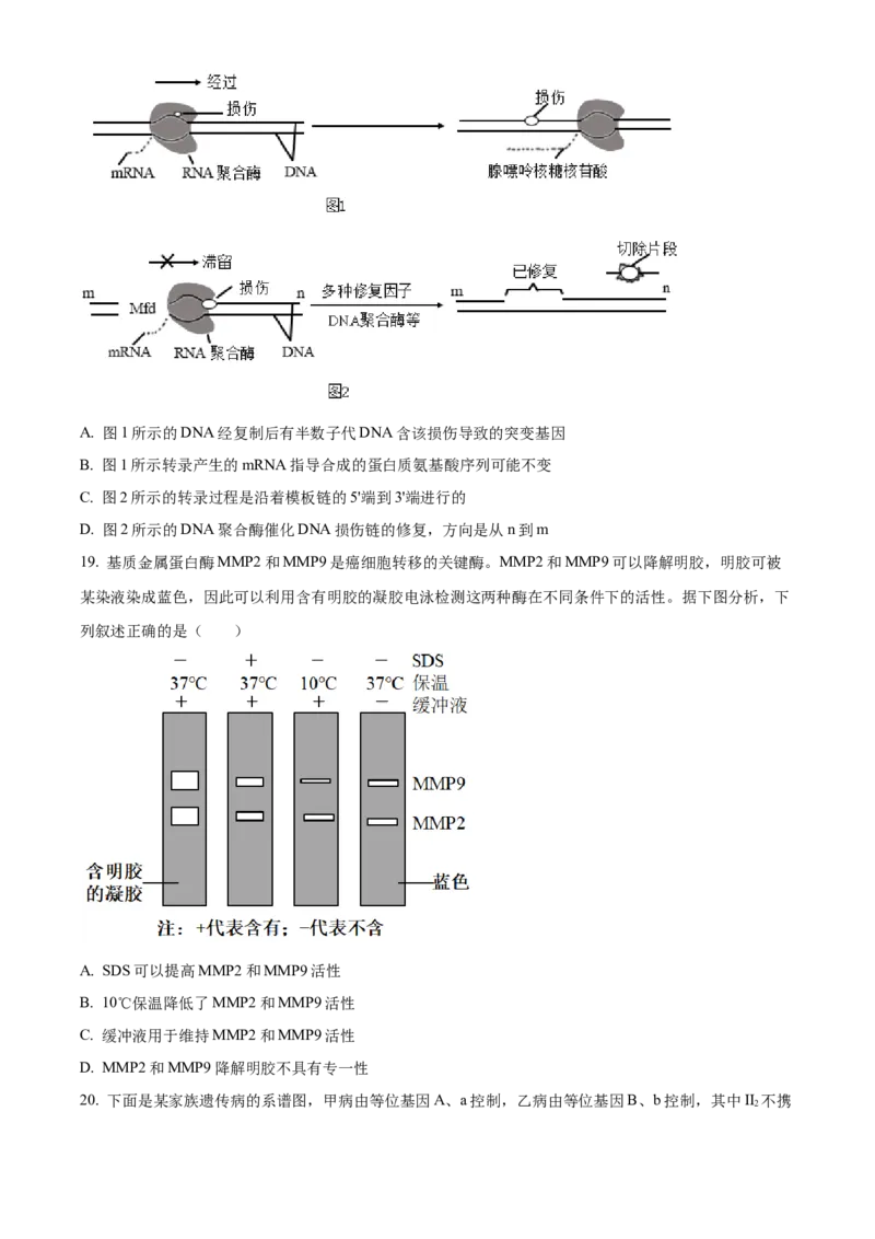 2023年新高考辽宁卷高考真题生物试卷（原卷版）_全国卷+地方卷_6.生物_1.生物高考真题试卷_2023年高考-生物_2023年辽宁自主命题（生物）
