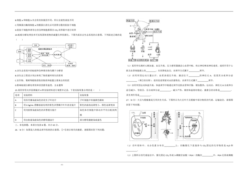 2020年江苏省高考生物试卷_全国卷+地方卷_6.生物_1.生物高考真题试卷_2008-2020年_地方卷_江苏高考生物07-20_A3word版_PDF版（赠送）