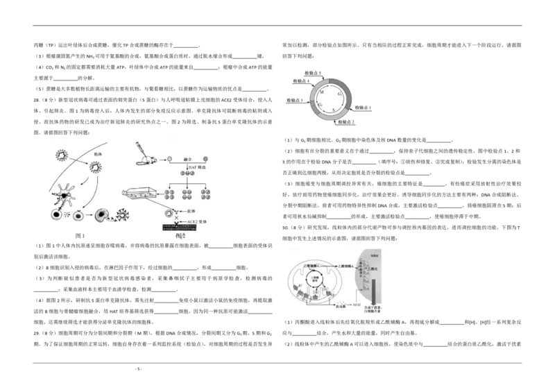 2020年江苏省高考生物试卷_全国卷+地方卷_6.生物_1.生物高考真题试卷_2008-2020年_地方卷_江苏高考生物07-20_A3word版_PDF版（赠送）