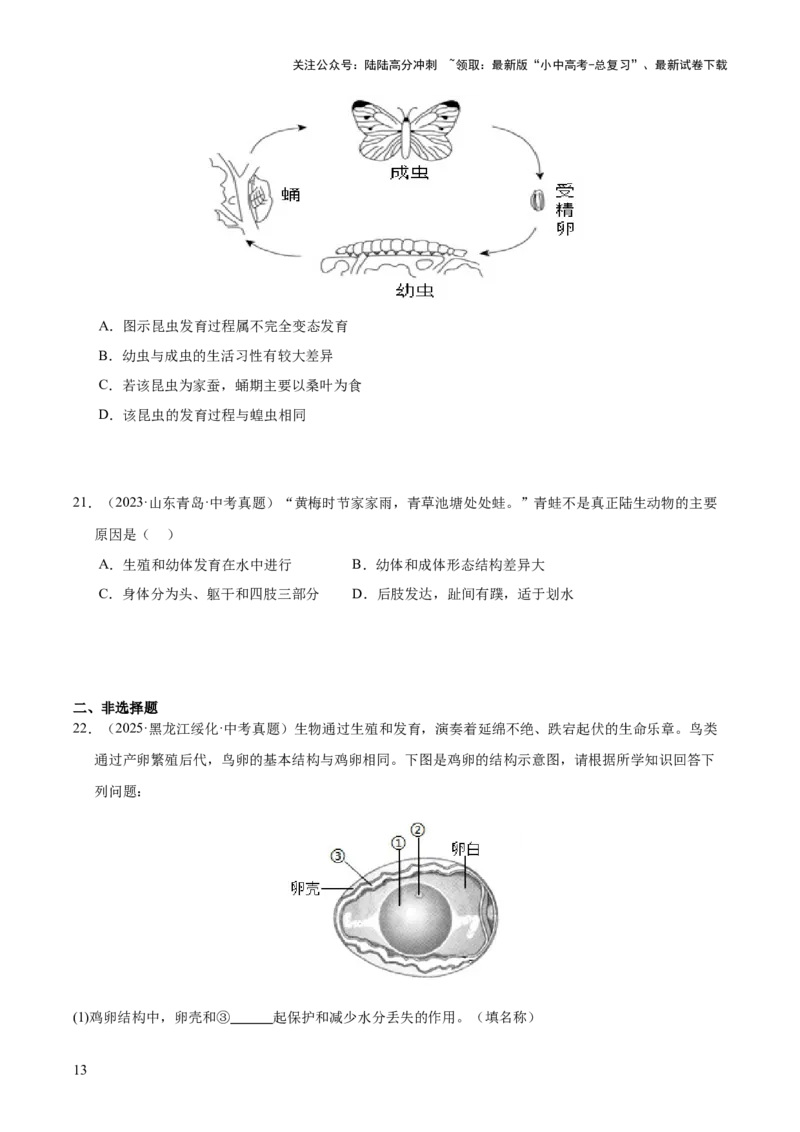 专题11生物的生殖和发育（全国通用）（原卷版）_02中考总复习（2026版更新中）_08-生物-中考总复习_2026年中考复习（更新中）