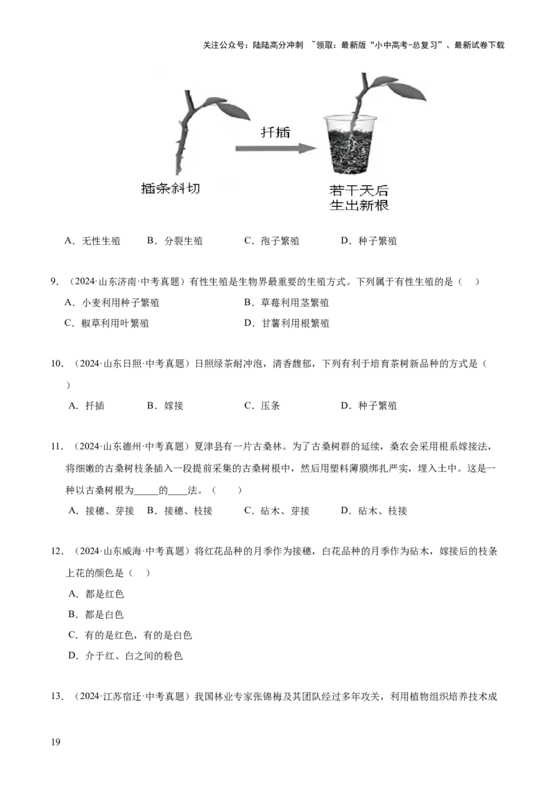专题11生物的生殖和发育（全国通用）（原卷版）_02中考总复习（2026版更新中）_08-生物-中考总复习_2026年中考复习（更新中）