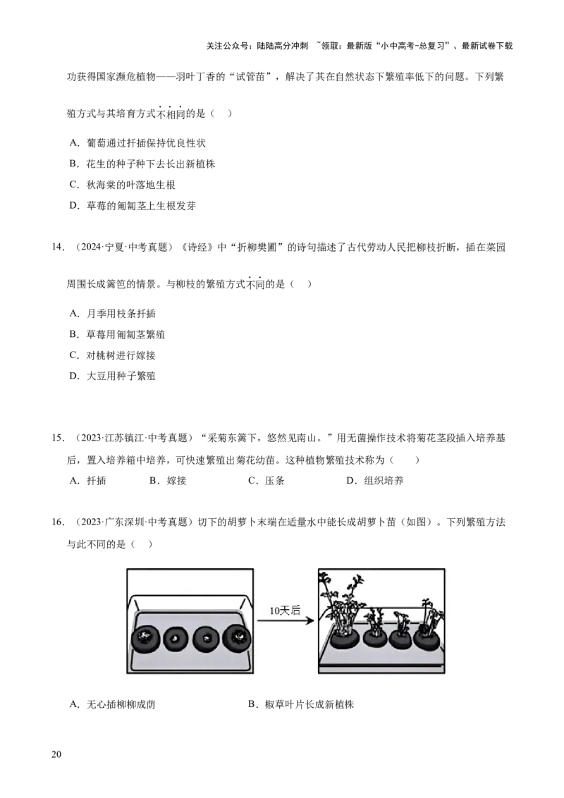 专题11生物的生殖和发育（全国通用）（原卷版）_02中考总复习（2026版更新中）_08-生物-中考总复习_2026年中考复习（更新中）