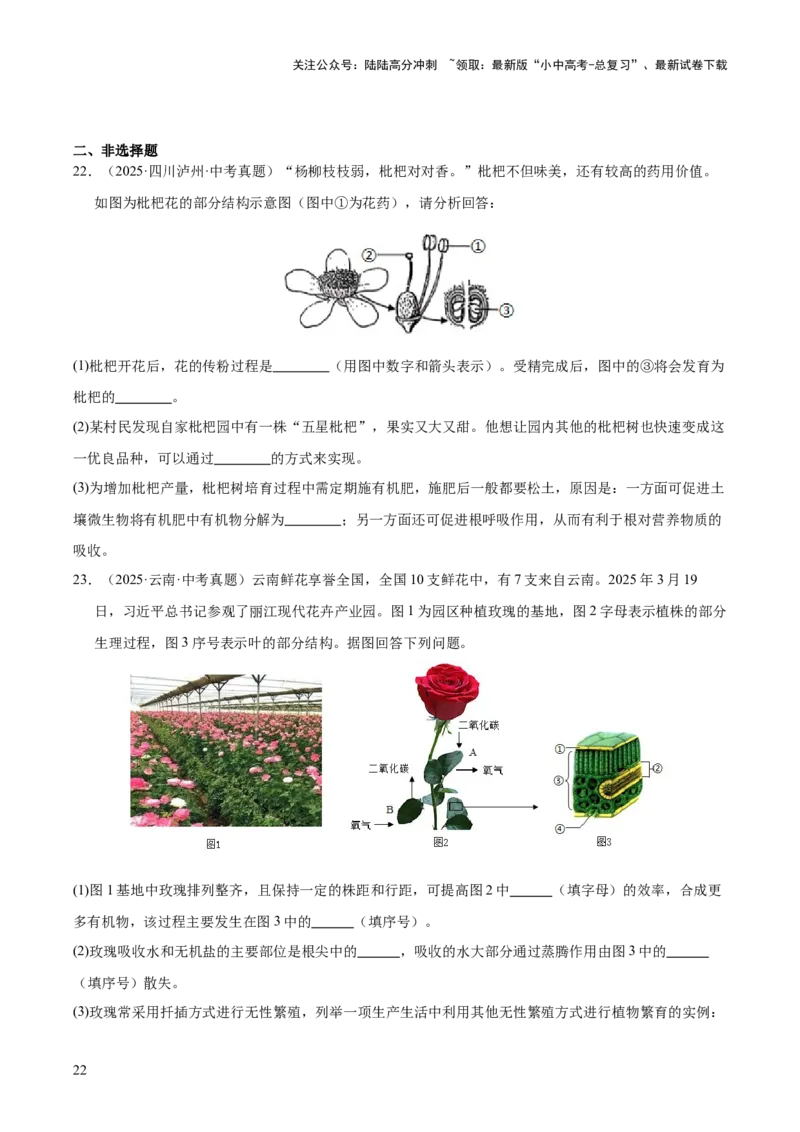 专题11生物的生殖和发育（全国通用）（原卷版）_02中考总复习（2026版更新中）_08-生物-中考总复习_2026年中考复习（更新中）