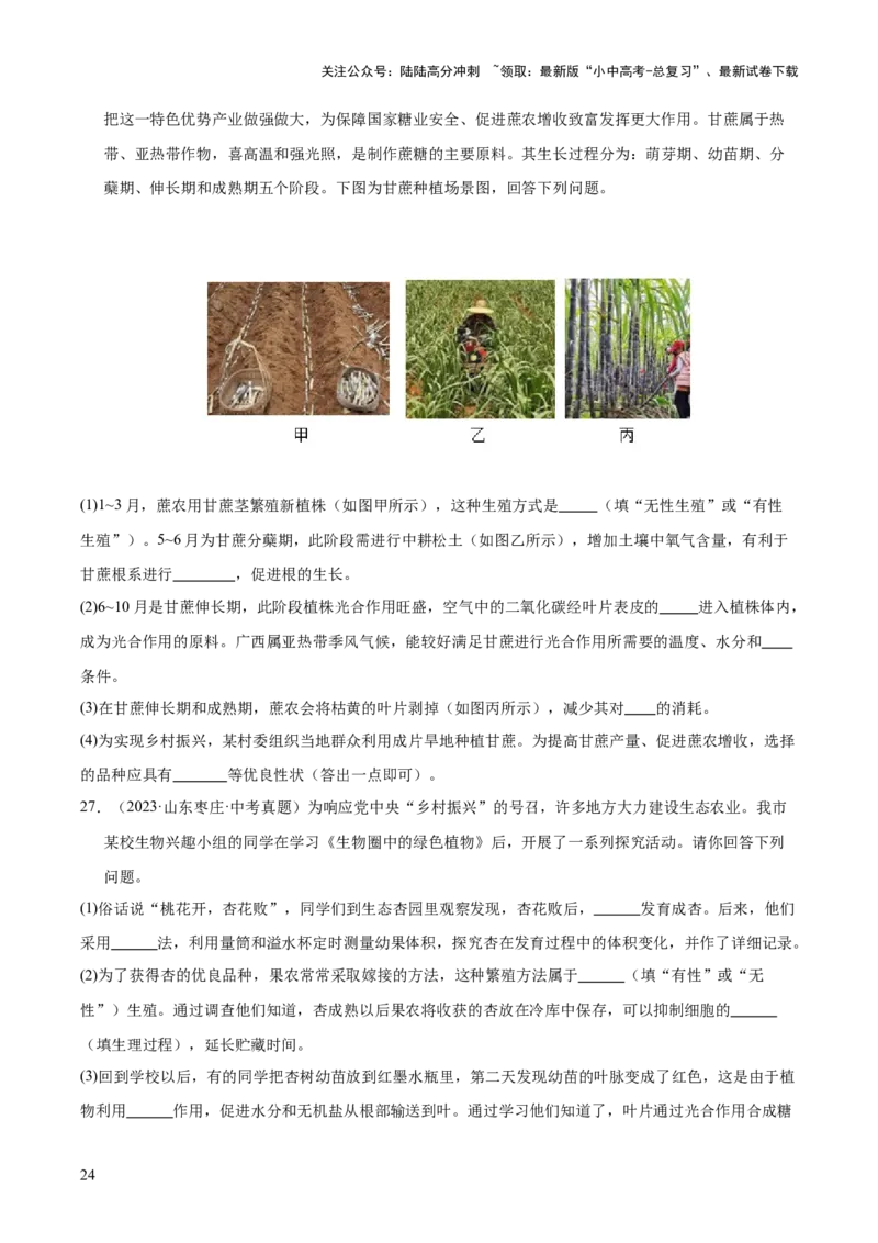 专题11生物的生殖和发育（全国通用）（原卷版）_02中考总复习（2026版更新中）_08-生物-中考总复习_2026年中考复习（更新中）