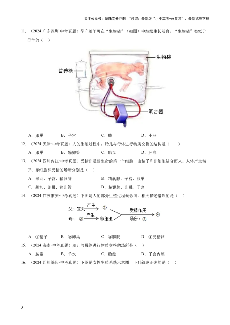 专题11生物的生殖和发育（全国通用）（原卷版）_02中考总复习（2026版更新中）_08-生物-中考总复习_2026年中考复习（更新中）