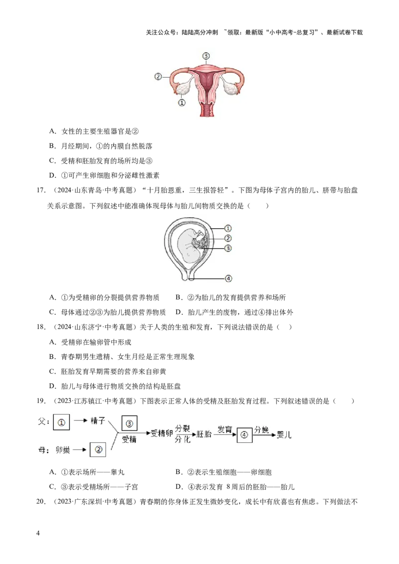 专题11生物的生殖和发育（全国通用）（原卷版）_02中考总复习（2026版更新中）_08-生物-中考总复习_2026年中考复习（更新中）