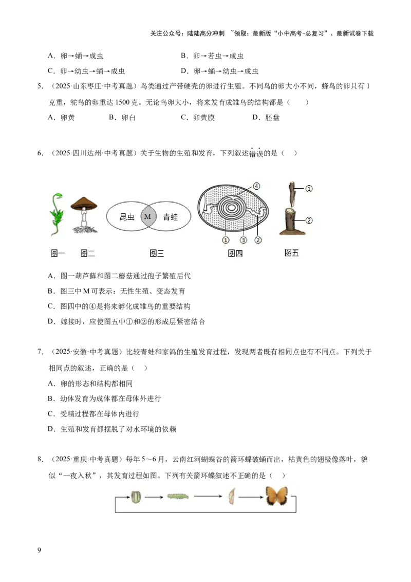 专题11生物的生殖和发育（全国通用）（原卷版）_02中考总复习（2026版更新中）_08-生物-中考总复习_2026年中考复习（更新中）