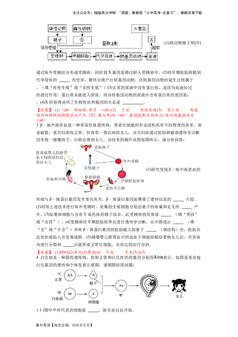 专题11人类起源和进化（解析版）_02中考总复习（2026版更新中）_08-生物-中考总复习_2024年中考复习资料_一轮复习_配套练习_教师版（含答案解析）