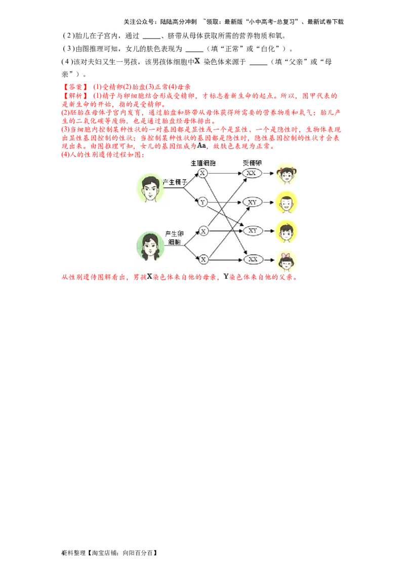 专题11人类起源和进化（解析版）_02中考总复习（2026版更新中）_08-生物-中考总复习_2024年中考复习资料_一轮复习_配套练习_教师版（含答案解析）