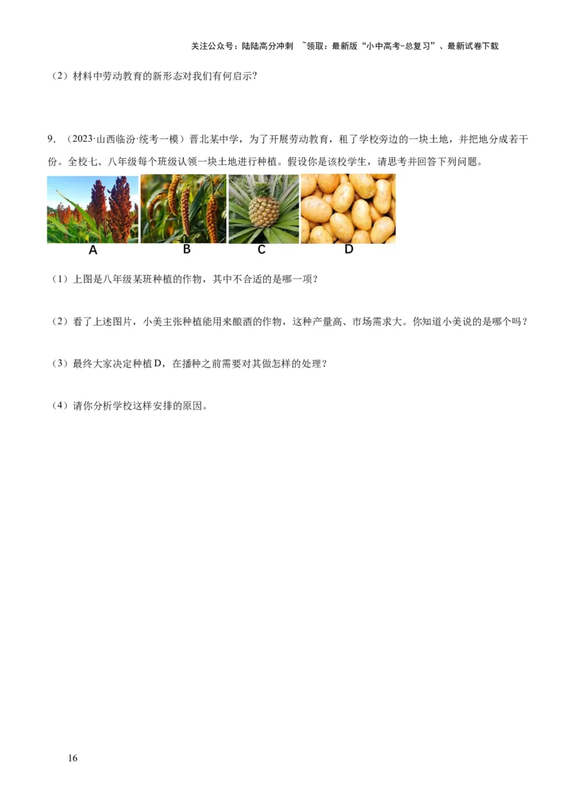 专题11维护国家利益（练习）（原卷版）_02中考总复习（2026版更新中）_07-道法-中考总复习_2024年中考复习资料_一轮复习_2024年中考道德与法治一轮复习讲练测（全国通用）