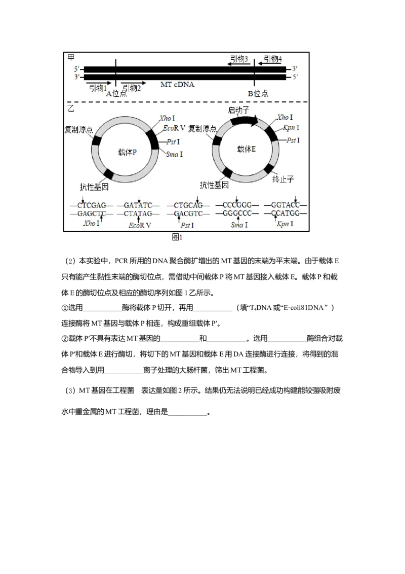 2021年高考生物（福建卷）原卷版_全国卷+地方卷_6.生物_1.生物高考真题试卷_2021年高考-生物_2021年福建生物