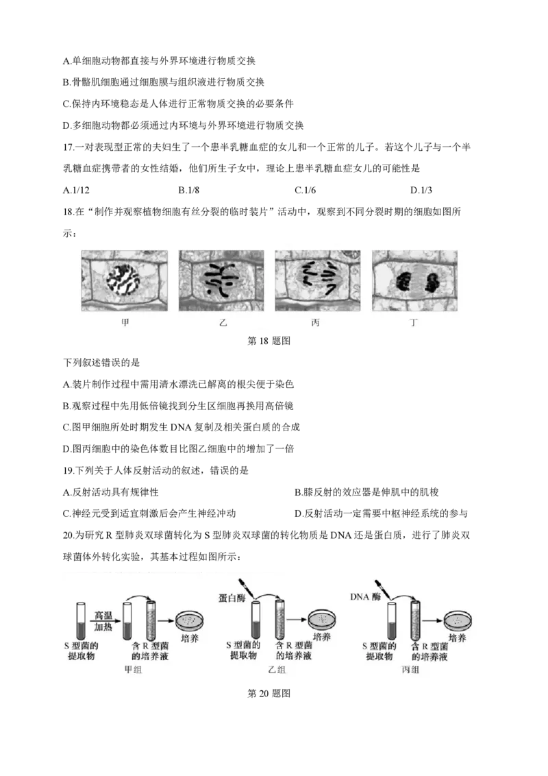 2019年浙江省高考生物4月（原卷版）_全国卷+地方卷_6.生物_1.生物高考真题试卷_2008-2020年_地方卷_浙江高考生物08-21_A4word版_PDF版（赠送）