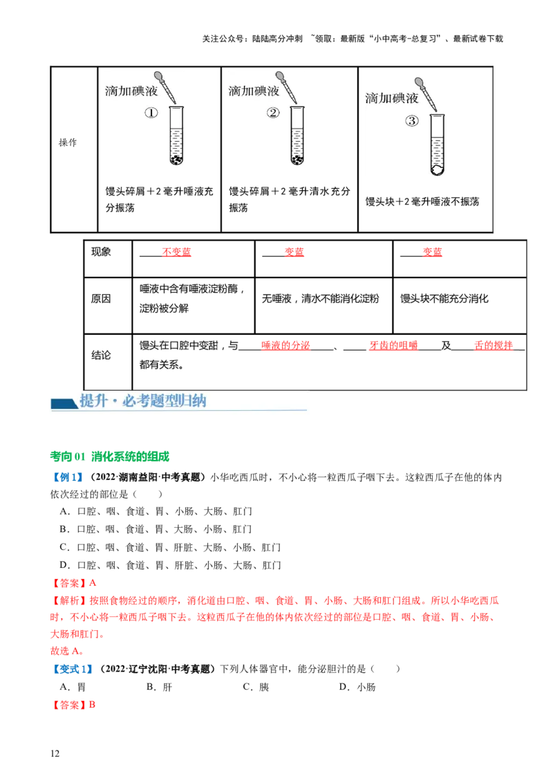 专题10人体的营养（讲义）（解析版）_02中考总复习（2026版更新中）_08-生物-中考总复习_2024年中考复习资料_一轮复习_❤2024年中考生物一轮复习讲练测（全国通用）_讲义
