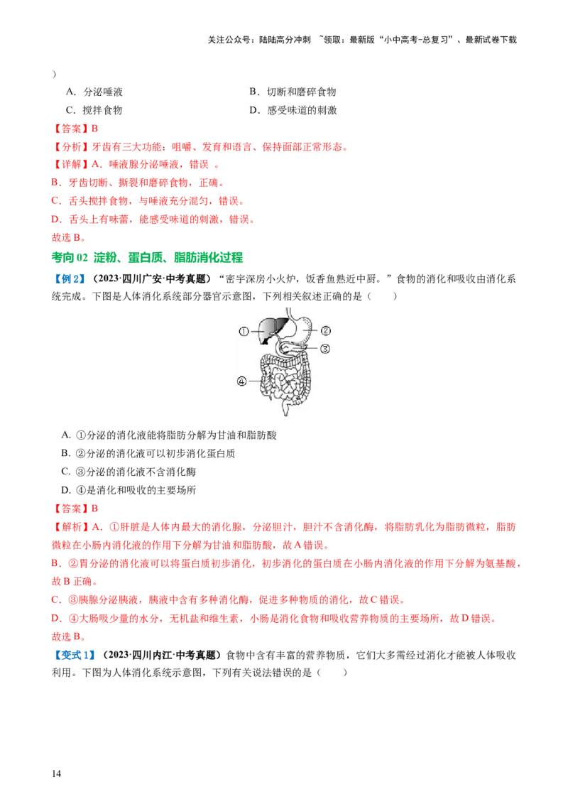 专题10人体的营养（讲义）（解析版）_02中考总复习（2026版更新中）_08-生物-中考总复习_2024年中考复习资料_一轮复习_❤2024年中考生物一轮复习讲练测（全国通用）_讲义