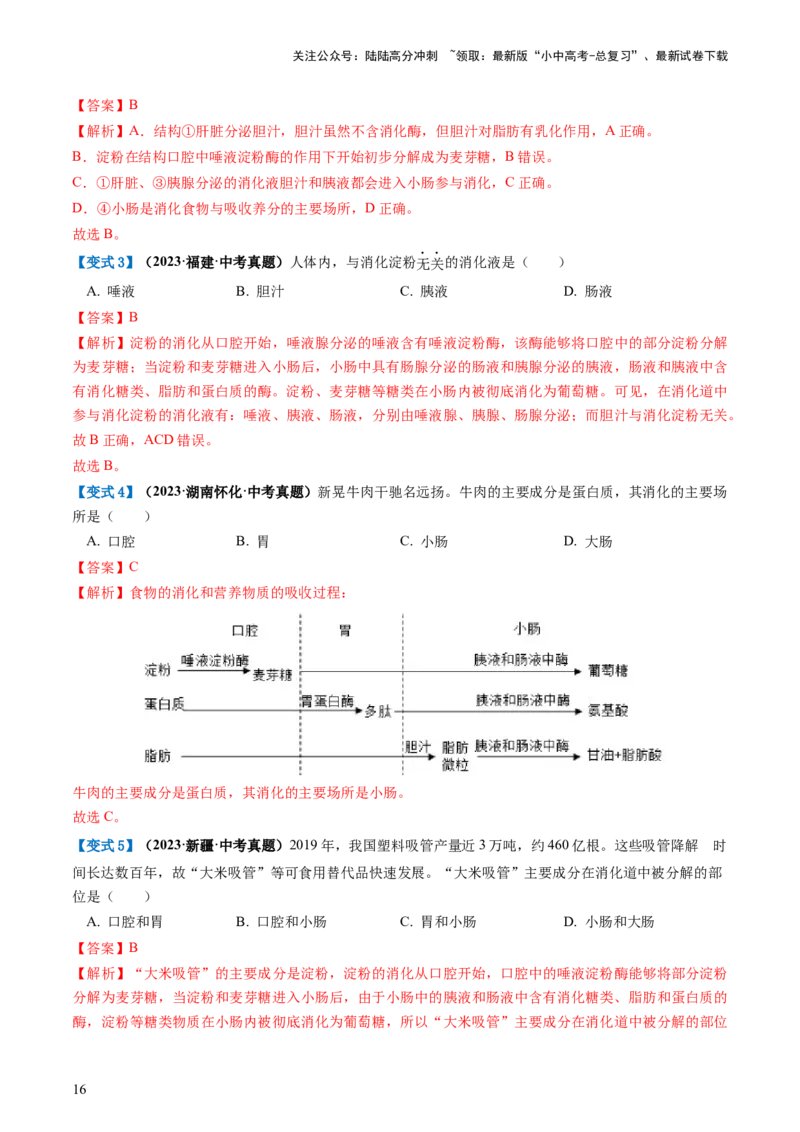 专题10人体的营养（讲义）（解析版）_02中考总复习（2026版更新中）_08-生物-中考总复习_2024年中考复习资料_一轮复习_❤2024年中考生物一轮复习讲练测（全国通用）_讲义