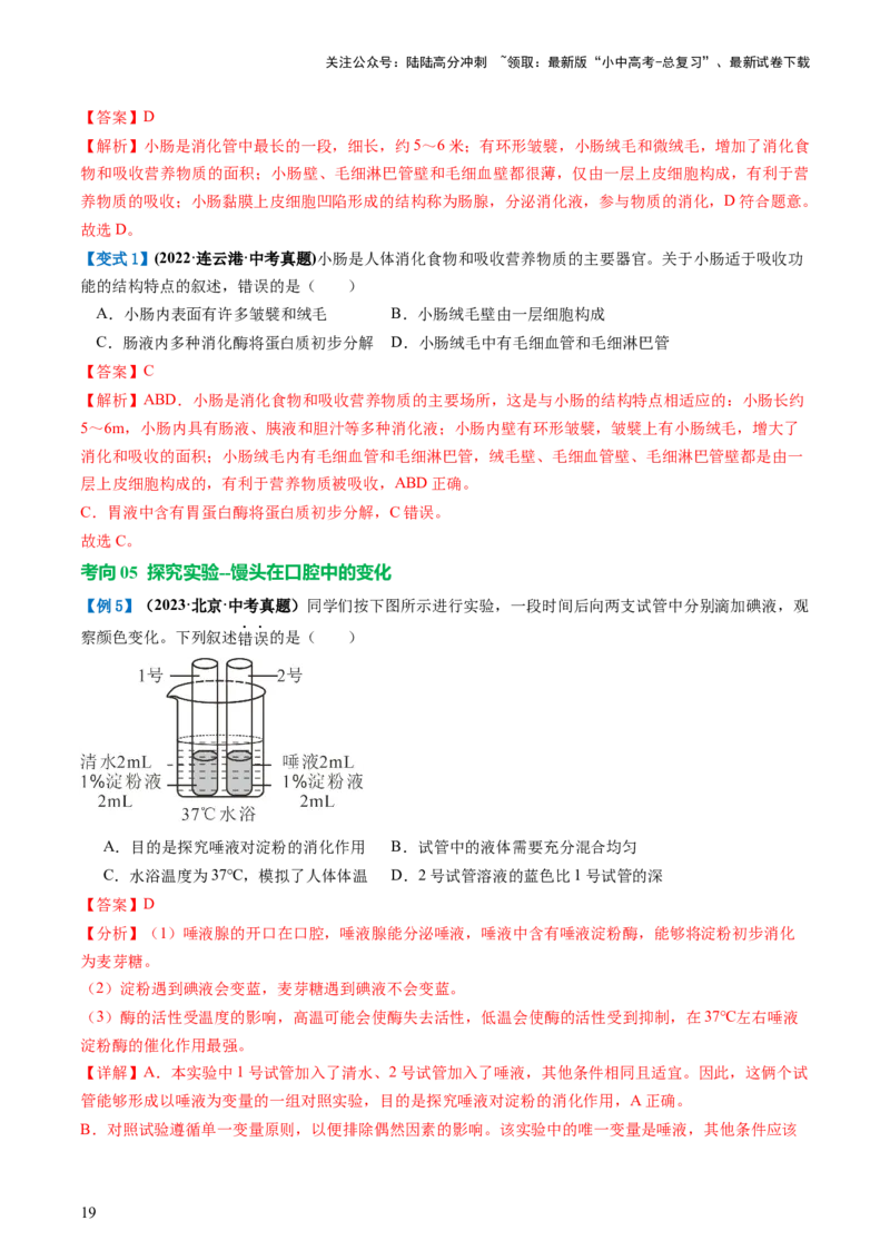 专题10人体的营养（讲义）（解析版）_02中考总复习（2026版更新中）_08-生物-中考总复习_2024年中考复习资料_一轮复习_❤2024年中考生物一轮复习讲练测（全国通用）_讲义