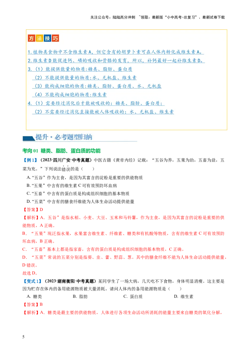 专题10人体的营养（讲义）（解析版）_02中考总复习（2026版更新中）_08-生物-中考总复习_2024年中考复习资料_一轮复习_❤2024年中考生物一轮复习讲练测（全国通用）_讲义
