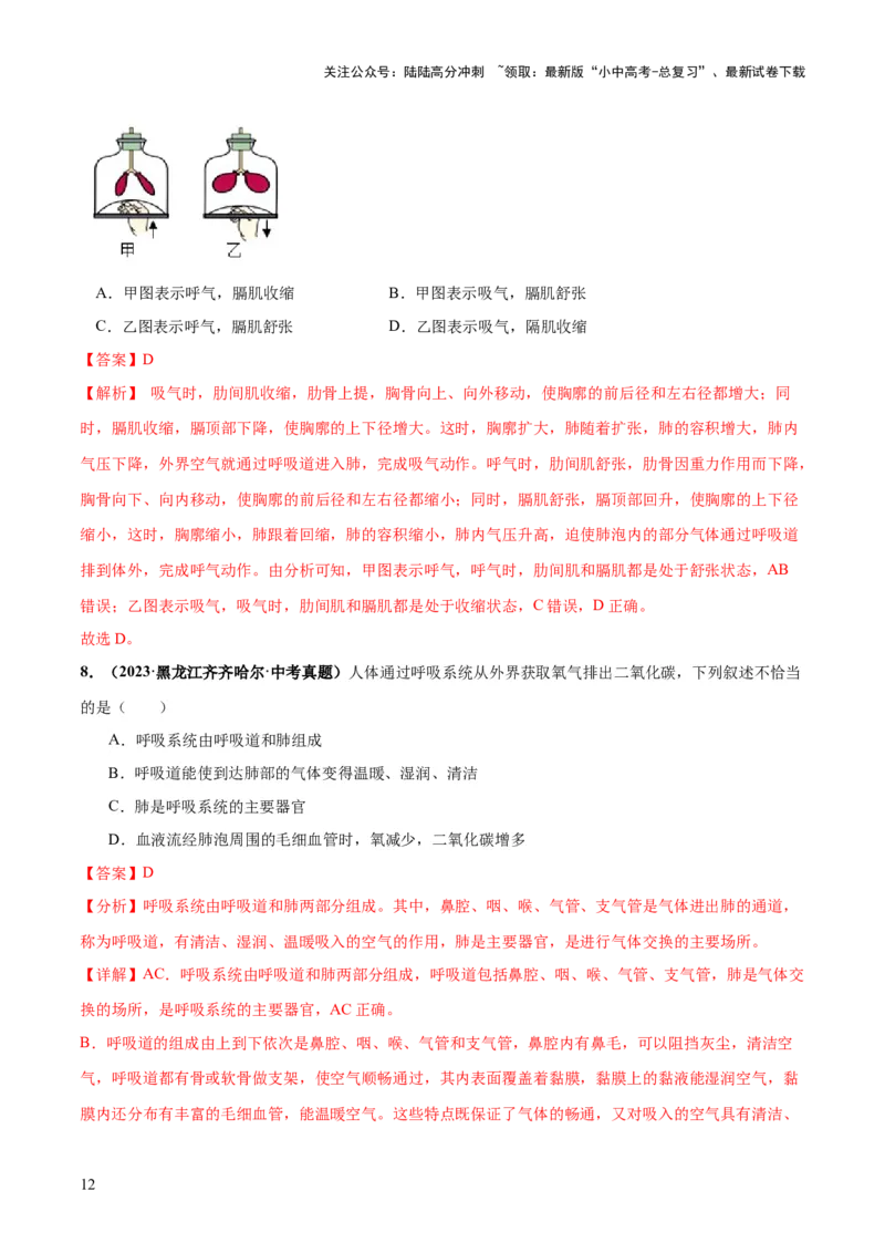 专题11人体的呼吸（练习）（解析版）_02中考总复习（2026版更新中）_08-生物-中考总复习_2024年中考复习资料_一轮复习_❤2024年中考生物一轮复习讲练测（全国通用）_练习