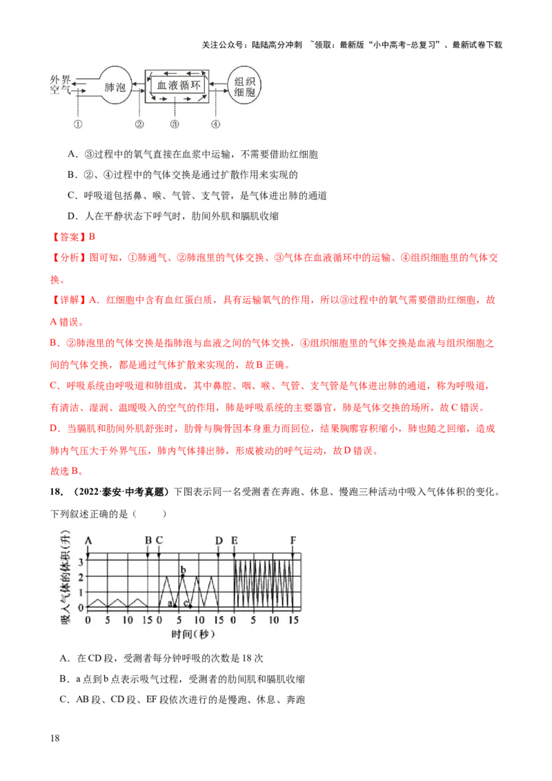 专题11人体的呼吸（练习）（解析版）_02中考总复习（2026版更新中）_08-生物-中考总复习_2024年中考复习资料_一轮复习_❤2024年中考生物一轮复习讲练测（全国通用）_练习