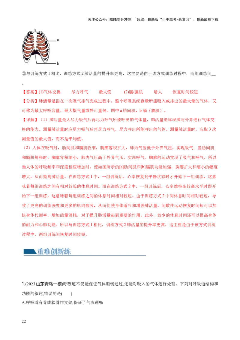 专题11人体的呼吸（练习）（解析版）_02中考总复习（2026版更新中）_08-生物-中考总复习_2024年中考复习资料_一轮复习_❤2024年中考生物一轮复习讲练测（全国通用）_练习