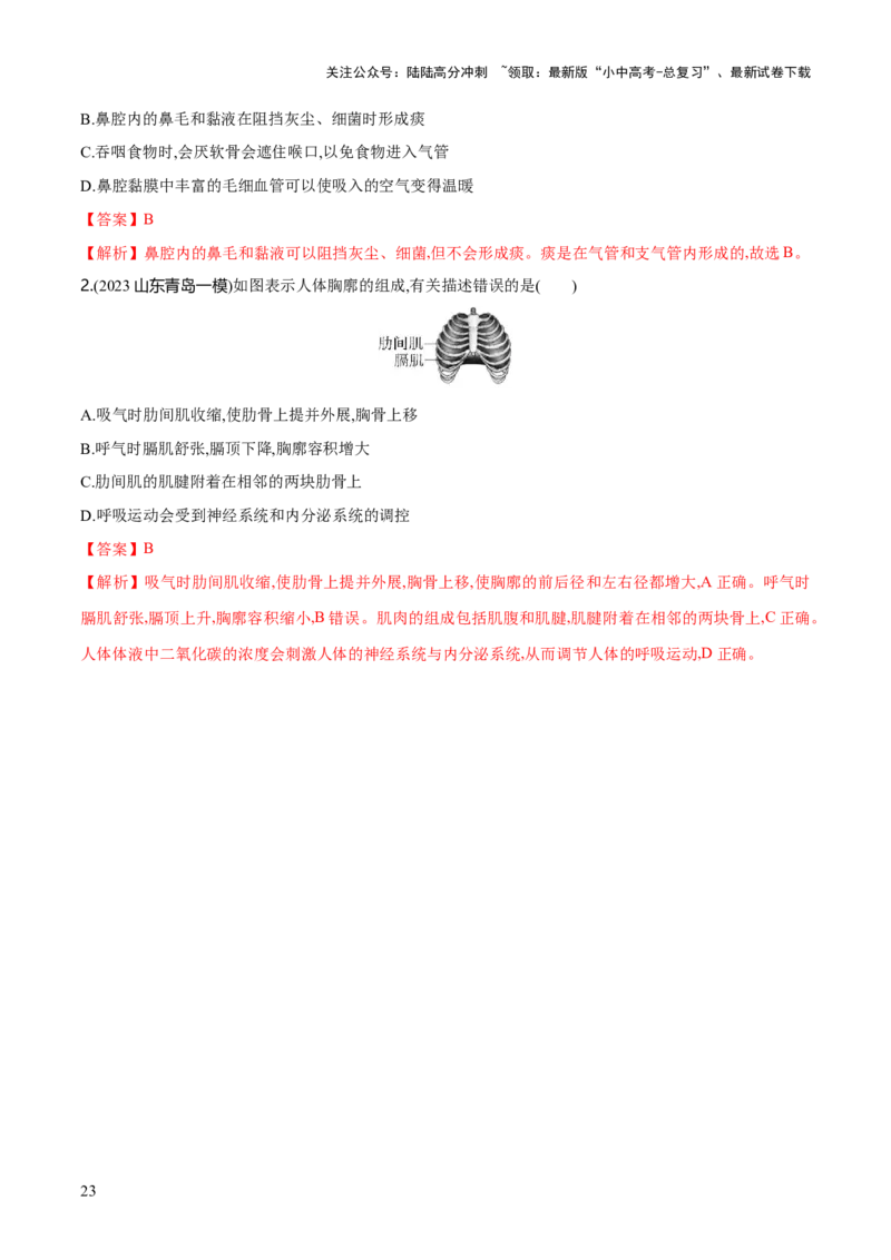 专题11人体的呼吸（练习）（解析版）_02中考总复习（2026版更新中）_08-生物-中考总复习_2024年中考复习资料_一轮复习_❤2024年中考生物一轮复习讲练测（全国通用）_练习