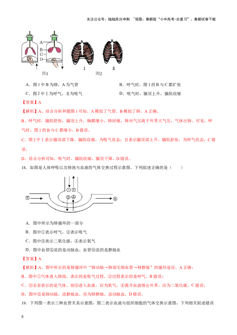专题11人体的呼吸（练习）（解析版）_02中考总复习（2026版更新中）_08-生物-中考总复习_2024年中考复习资料_一轮复习_❤2024年中考生物一轮复习讲练测（全国通用）_练习