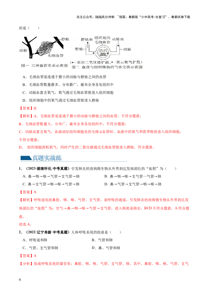 专题11人体的呼吸（练习）（解析版）_02中考总复习（2026版更新中）_08-生物-中考总复习_2024年中考复习资料_一轮复习_❤2024年中考生物一轮复习讲练测（全国通用）_练习