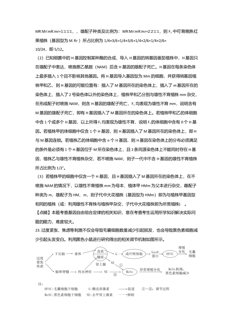 2021年高考真题生物（山东卷）（解析版）_全国卷+地方卷_6.生物_1.生物高考真题试卷_2008-2020年_地方卷_山东高考生物08-21_山东高考生物_A4版