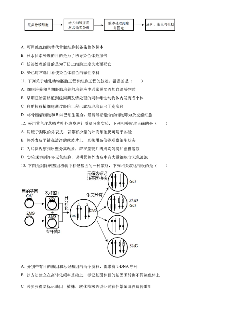2021年新高考江苏生物高考真题（原卷版）_全国卷+地方卷_6.生物_1.生物高考真题试卷_2021年高考-生物_2021年新高考江苏生物