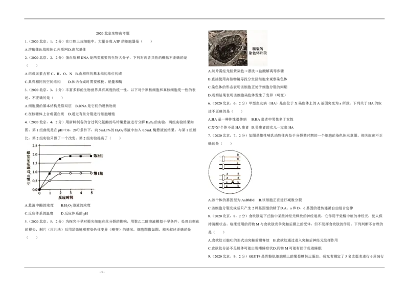 2020年北京市高考生物试卷（原卷版）_全国卷+地方卷_6.生物_1.生物高考真题试卷_2008-2020年_地方卷_北京高考生物08-21_A3word版_PDF版(赠送)