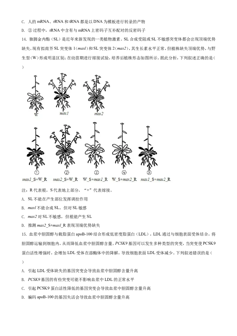 2021年湖南高考生物（新高考）（原卷版）_全国卷+地方卷_6.生物_1.生物高考真题试卷_2021年高考-生物_2021年新高考湖南生物_A4Word版