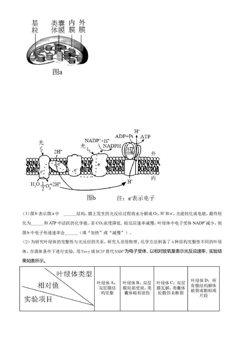2021年湖南高考生物（新高考）（原卷版）_全国卷+地方卷_6.生物_1.生物高考真题试卷_2021年高考-生物_2021年新高考湖南生物_A4Word版