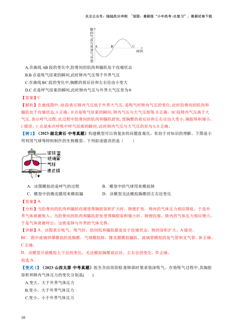 专题11人体的呼吸（讲义）（解析版）_02中考总复习（2026版更新中）_08-生物-中考总复习_2024年中考复习资料_一轮复习_❤2024年中考生物一轮复习讲练测（全国通用）_讲义