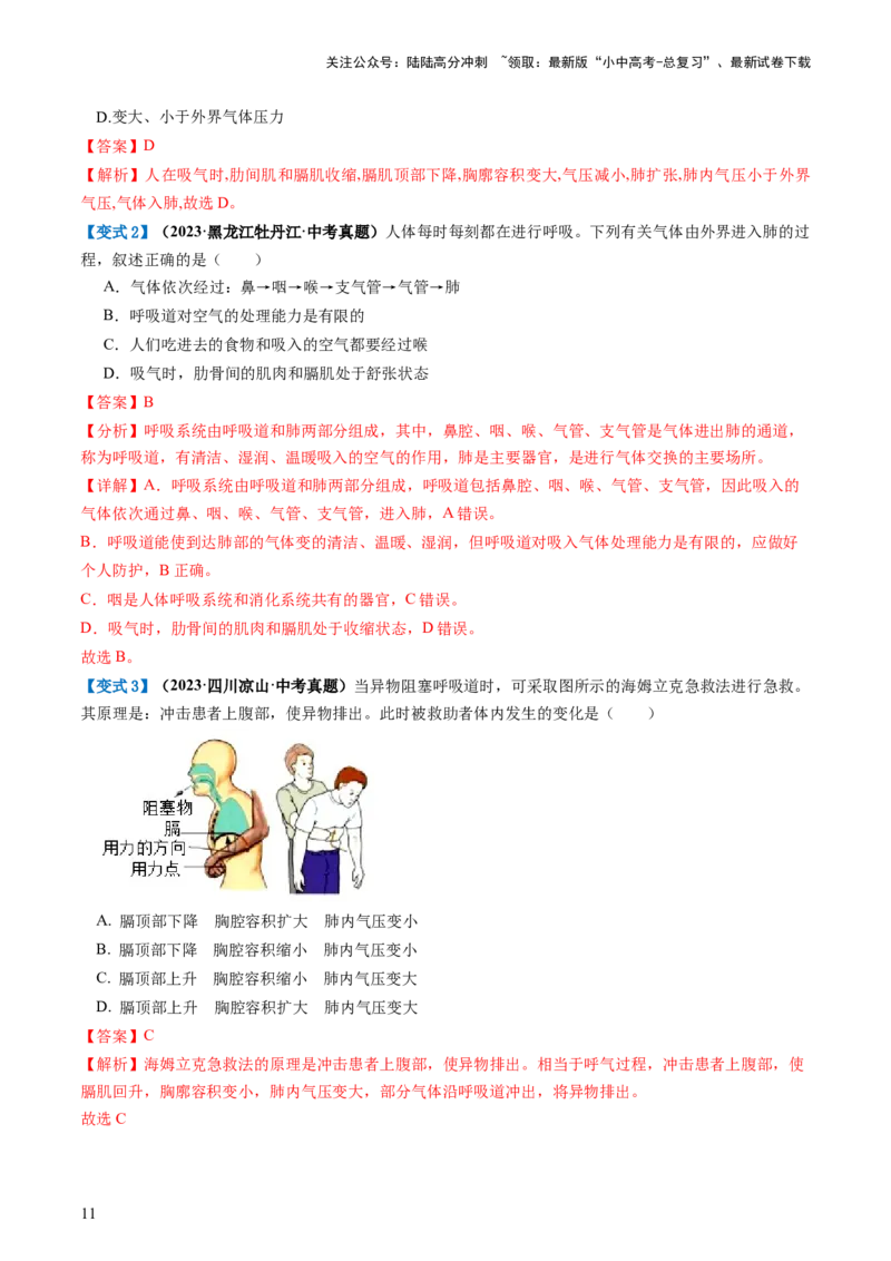 专题11人体的呼吸（讲义）（解析版）_02中考总复习（2026版更新中）_08-生物-中考总复习_2024年中考复习资料_一轮复习_❤2024年中考生物一轮复习讲练测（全国通用）_讲义