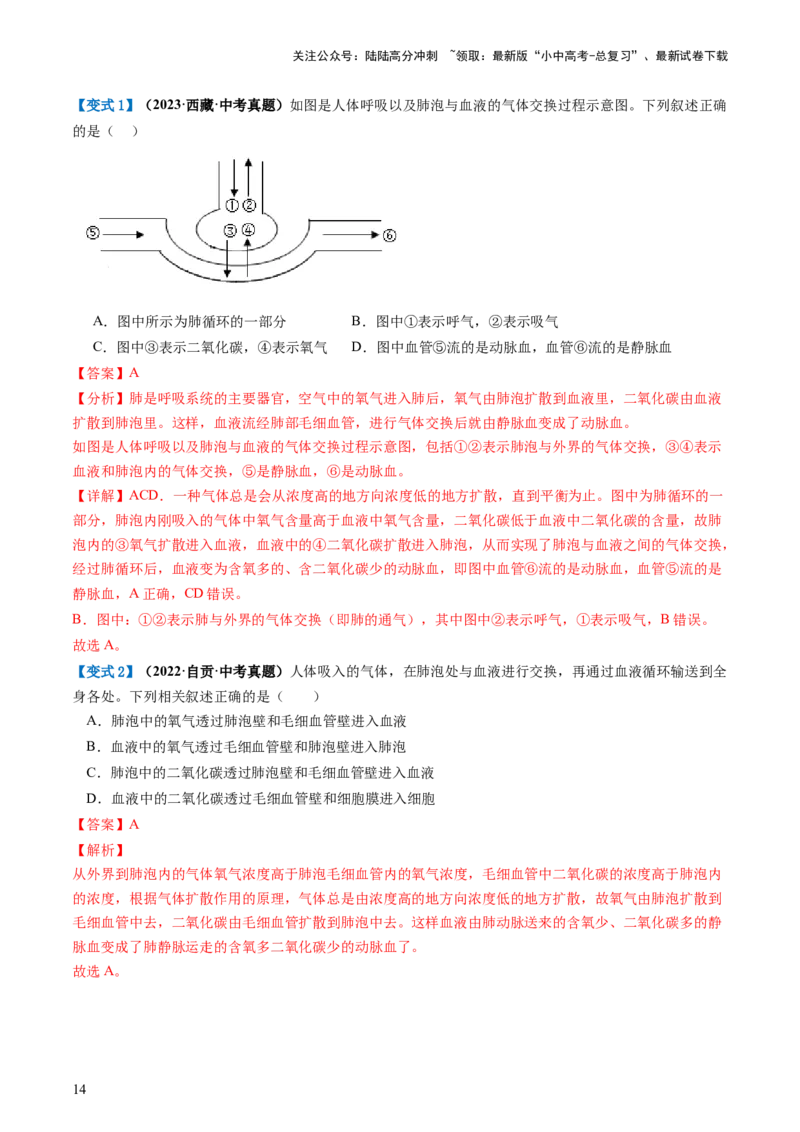 专题11人体的呼吸（讲义）（解析版）_02中考总复习（2026版更新中）_08-生物-中考总复习_2024年中考复习资料_一轮复习_❤2024年中考生物一轮复习讲练测（全国通用）_讲义
