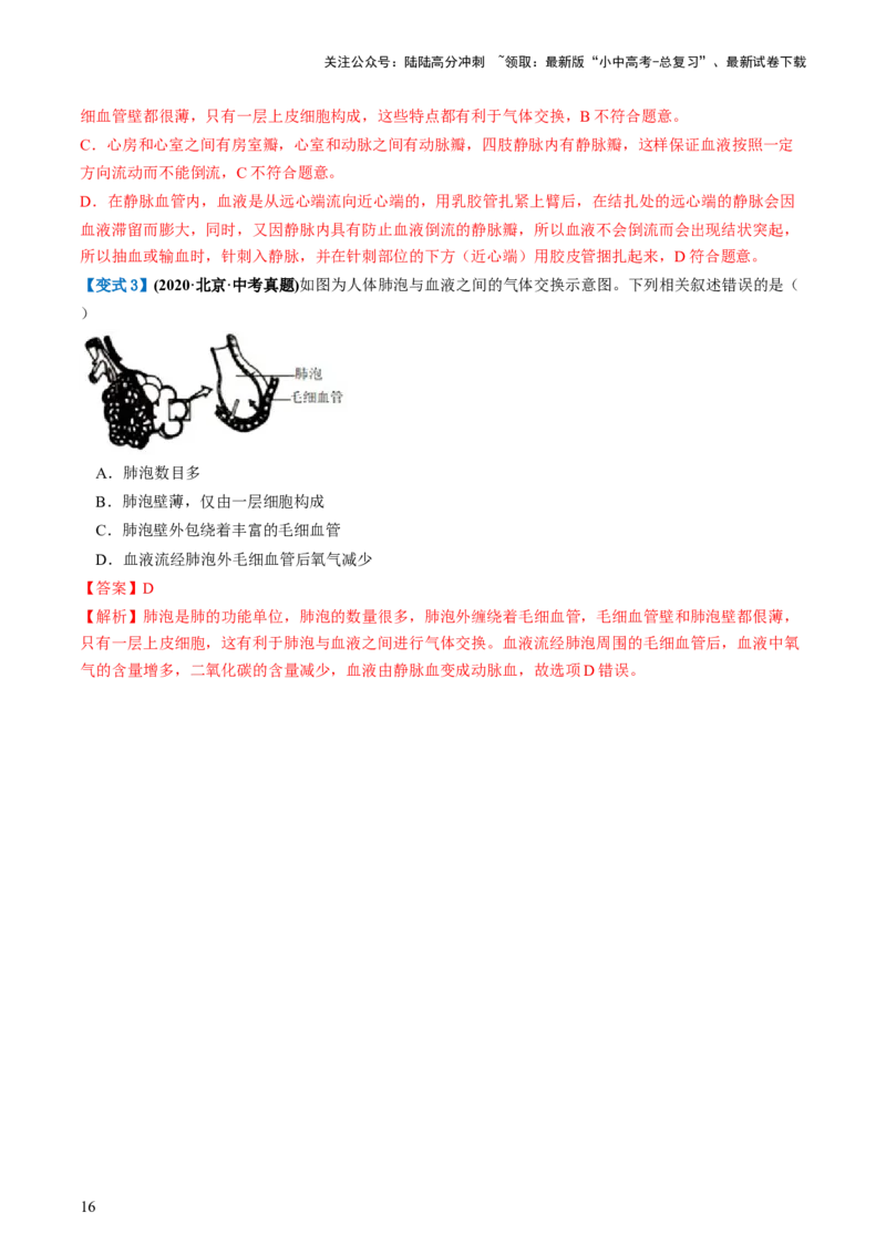 专题11人体的呼吸（讲义）（解析版）_02中考总复习（2026版更新中）_08-生物-中考总复习_2024年中考复习资料_一轮复习_❤2024年中考生物一轮复习讲练测（全国通用）_讲义