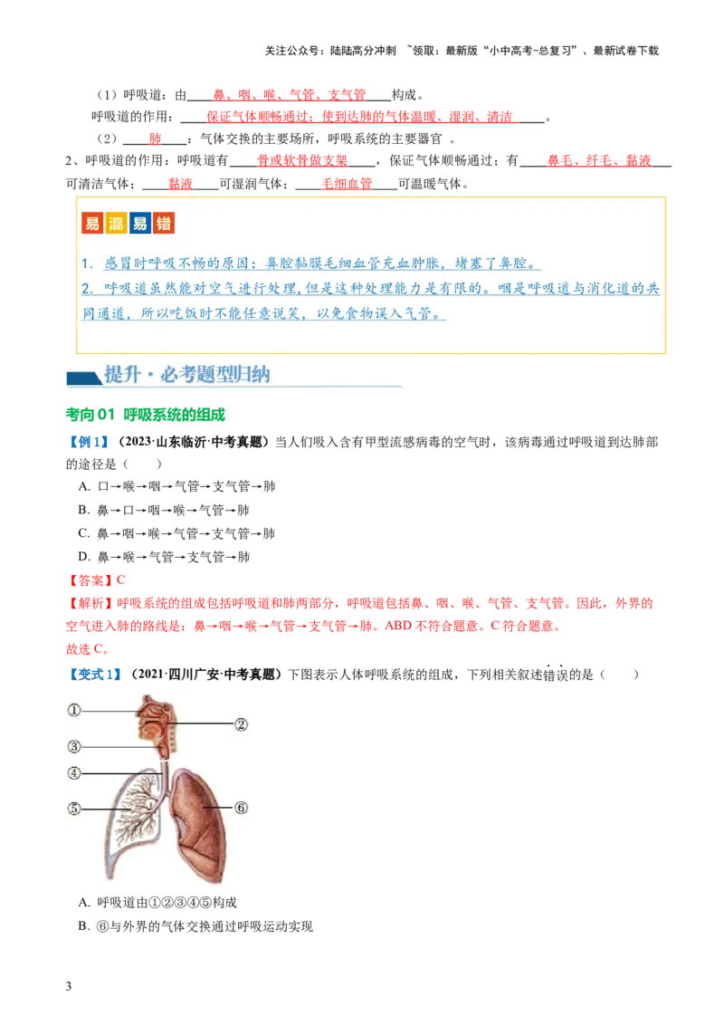 专题11人体的呼吸（讲义）（解析版）_02中考总复习（2026版更新中）_08-生物-中考总复习_2024年中考复习资料_一轮复习_❤2024年中考生物一轮复习讲练测（全国通用）_讲义